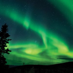 Dancing The Night Away