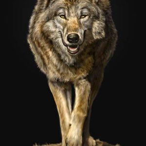 Walking Wolf
