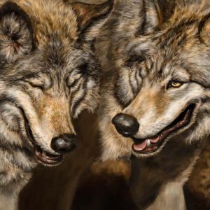 Two Wolves