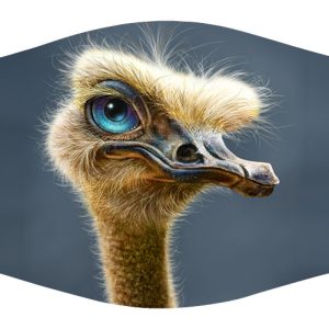 Ostrich