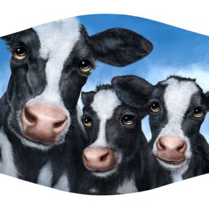 Cows