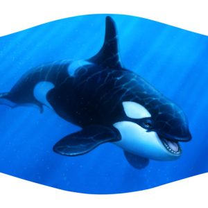 Orca