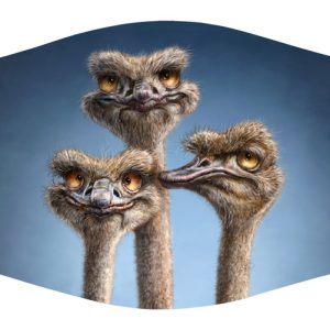 Three Ostriches