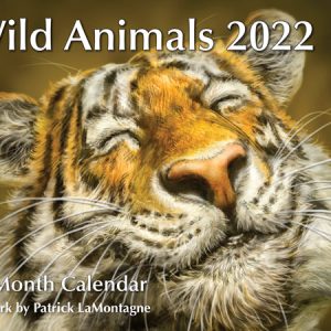 Wild Animals 2022