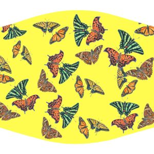 Butterfly Collage