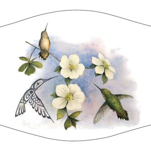 Dogwood & Hummingbird