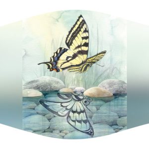 Butterfly Reflection