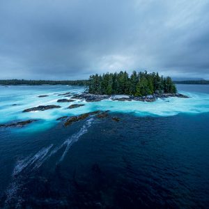 Spring Herring (Coastline)
