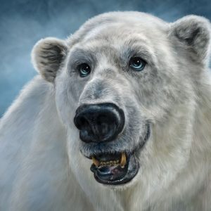 Polar Bear