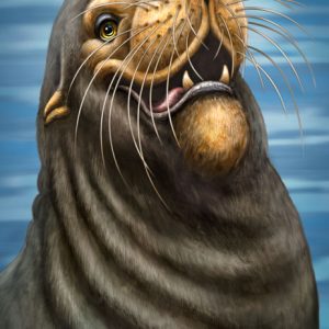 Sea Lion