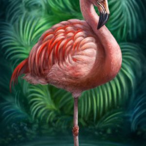 Flamingo