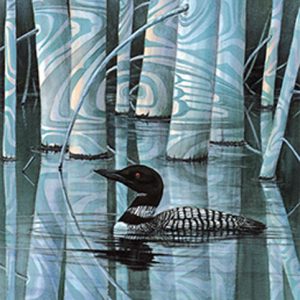 Loon Shadow