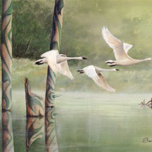 Signature of the Swan