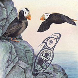 Tufted Puffin