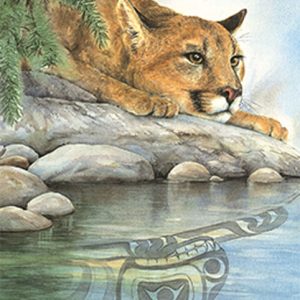 Cougar Reflection