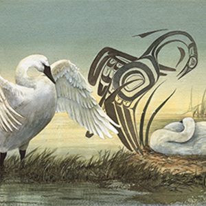 Trumpeter Swan