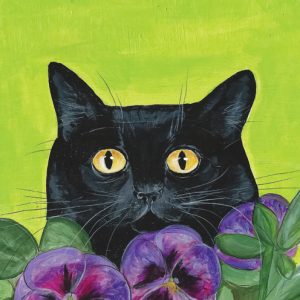 Black Cat & Pansies